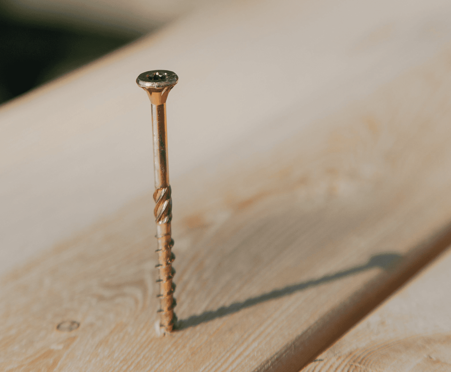 Gold wood screw driven into timber